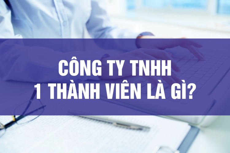 Công Ty TNHH 1 Thành Viên Là Gì