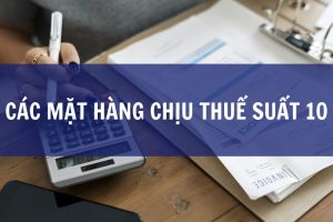 các mặt hàng chịu thuế suất 10