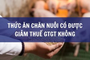 thức ăn chăn nuôi có được giảm thuế gtgt không