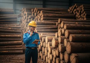 gỗ tròn thuế suất bao nhiêu