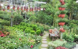 kinh doanh cây cảnh