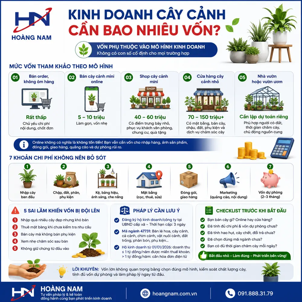 Kinh doanh cây cảnh cần bao nhiêu vốn